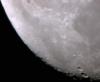 photol36_t1.jpg